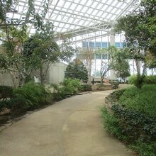 セリオンリスタ