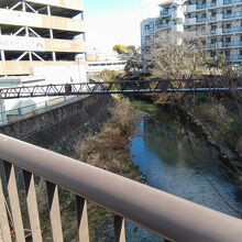 帷子川