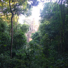 バクセイ チャムクロン