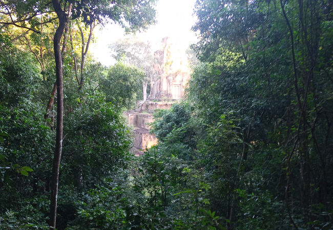 プノンバケンの登山道から見えます