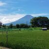 サッカー合宿