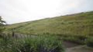 狭山丘陵の都立公園「狭山公園」