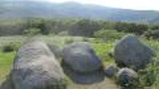 広大な景色を眺めることができました