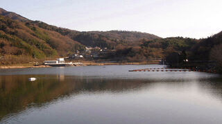 筑紫湖・ふるさとの森