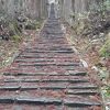 参道を歩く場合、五重塔から山頂へ向かっては上り坂が続きます
