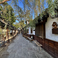 裏庭、おおこれは日本の原風景じゃないか？