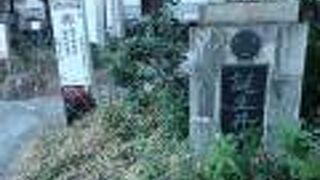 徳川秀忠誕生井戸