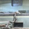 東山動植物園