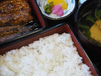 和風レストラン 松竹