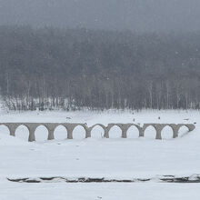 iPhoneでもデジタルズームを使ってここまで撮れます。
