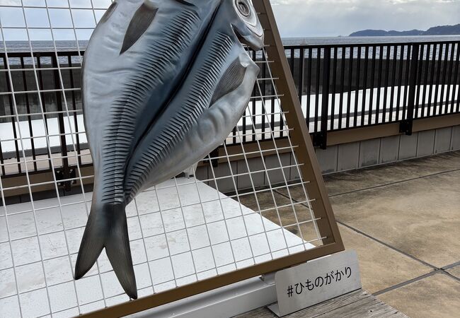 漁港の駅 TOTOCO 小田原