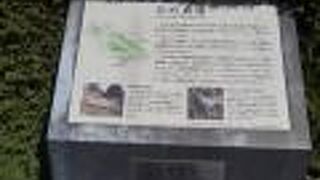 ここで暮らしていた縄文人の遺跡