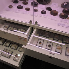 展示物は引き出しの中にも