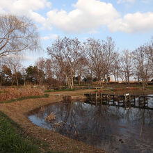 冬の水郷トンボ公園の風景