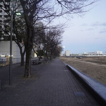 ポートサイド公園