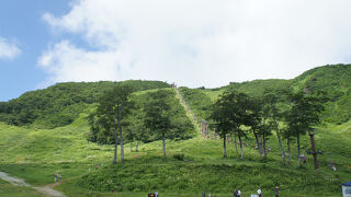 穏やかな草原といった景色