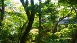 山中温泉芭蕉の館