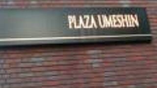 ホテル プラザ 梅新 北新地