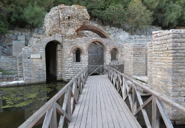 アスクレピウス神殿 クチコミ・アクセス・営業時間｜サランダ【フォー