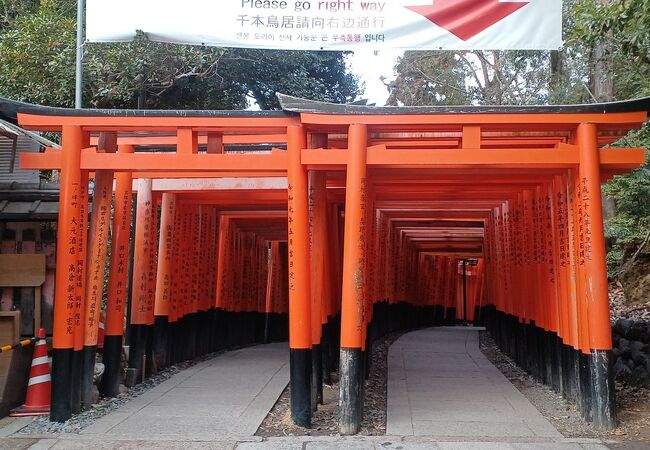 伏見稲荷大社千本鳥居