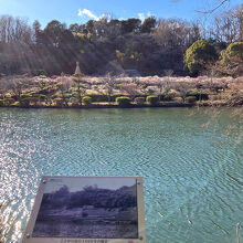 薬師池公園