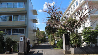 和敬塾本館 旧細川侯爵邸