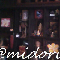 ｼｭｰﾙなLOBBYwww