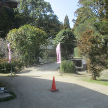 櫻井神社