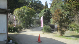 櫻井神社