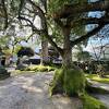 ガイドツアーの応挙の寺