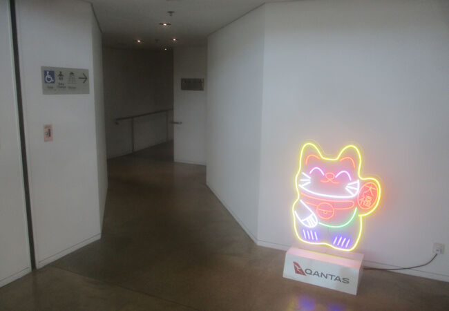 猫が迎えてくれました