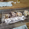 守江湾の景色を観ながら炭火焼で焼いた魚貝類を美味しく頂きました!!