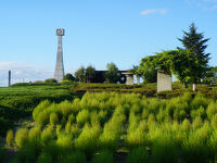 ひまわりの丘公園