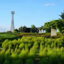 ひまわりの丘公園