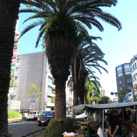 高知名物 日曜市のいも天  とさのさとアグリコレット店