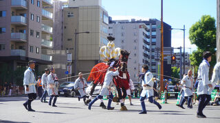 藤崎八旛宮例祭 神幸式