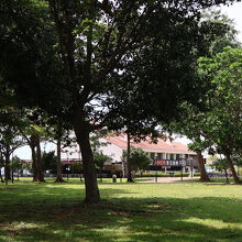 木立に囲まれた店舗