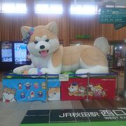 秋田犬となまはげがお出迎え