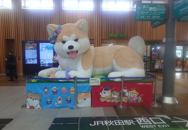 秋田犬となまはげがお出迎え