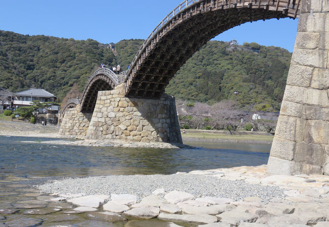 錦帯橋のすべて 錦川 クチコミ・アクセス・営業時間｜錦帯橋周辺【フォートラベル】