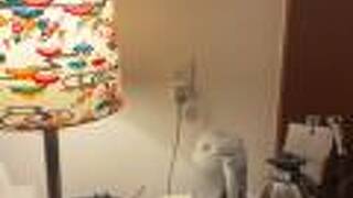 ホテル　タイラ