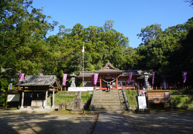 蒲生八幡神社 (鹿児島県姶良郡) クチコミ・アクセス・営業時間