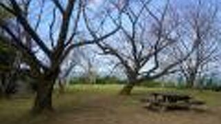 竜ケ城跡(蒲生城跡)