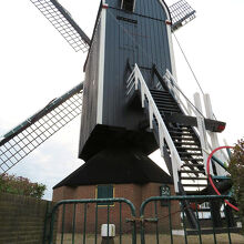 下に立って見上げると、結構大きさがあって驚きます。