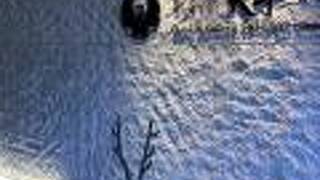 ホテル天平ならまち