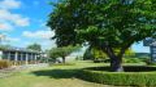 テ アナウ ホテル アンド ビラ