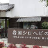 シロヘビを間近に・・・