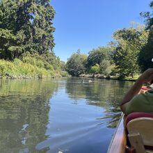 パンティング オン ジ エイボン