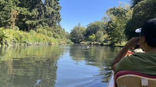 パンティング オン ジ エイボン