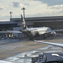 成田空港に駐機中。
